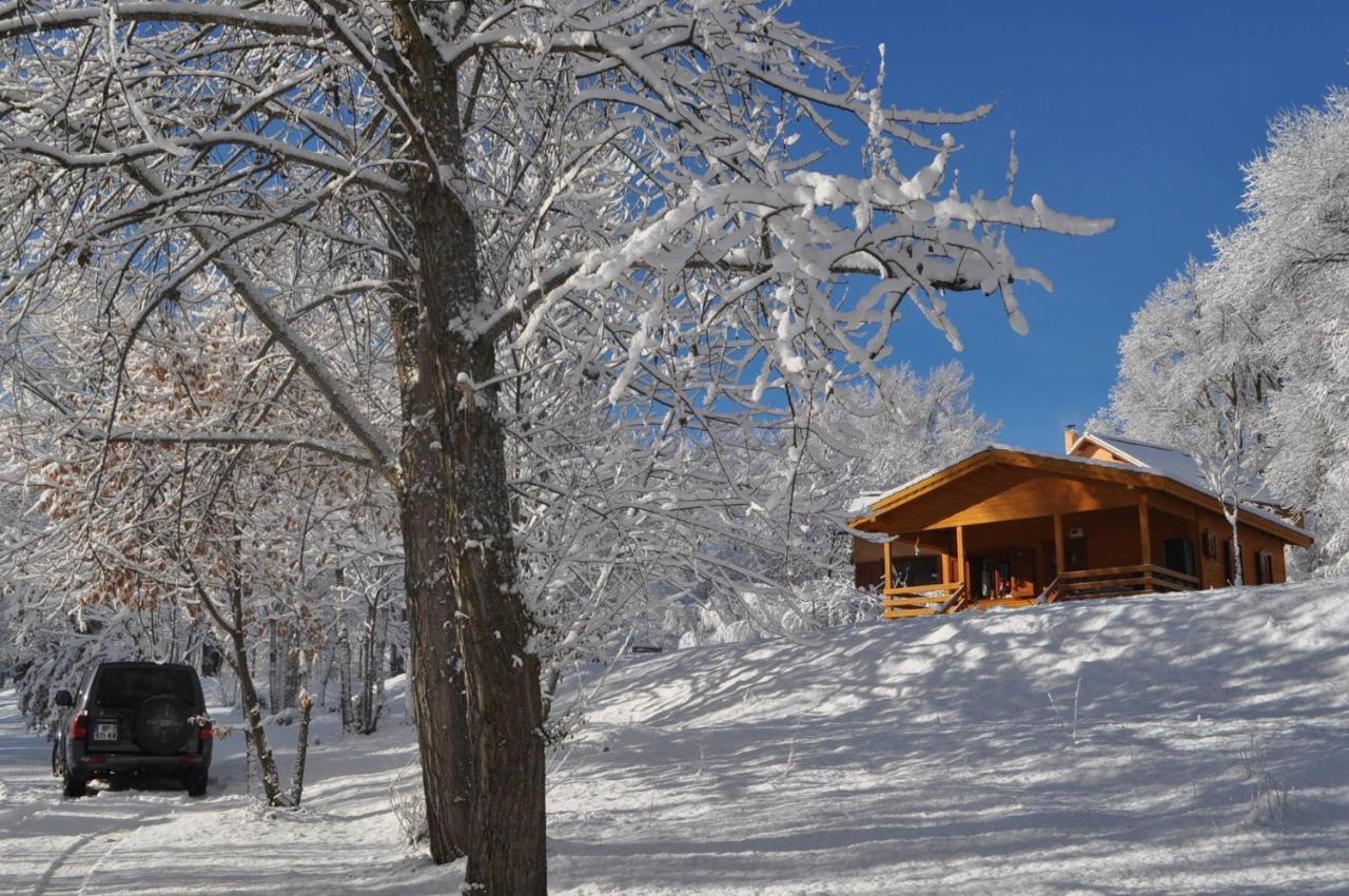 Camping, Hôtel De Plein Air Les Cariamas Chateauroux-les-Alpes Buitenkant foto